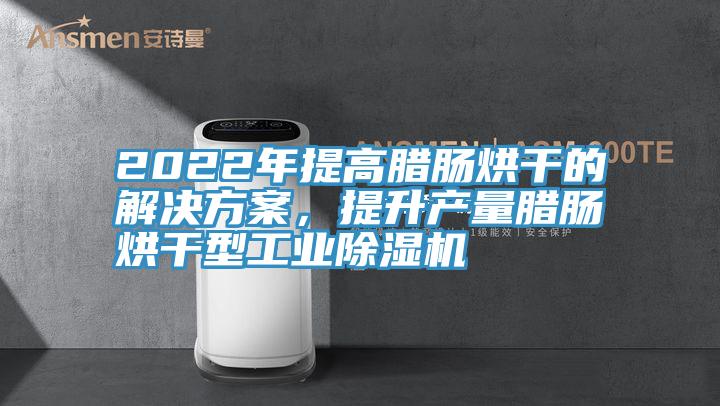 2022年提高臘腸烘干的解決方案，提升產量臘腸烘干型工業除濕機