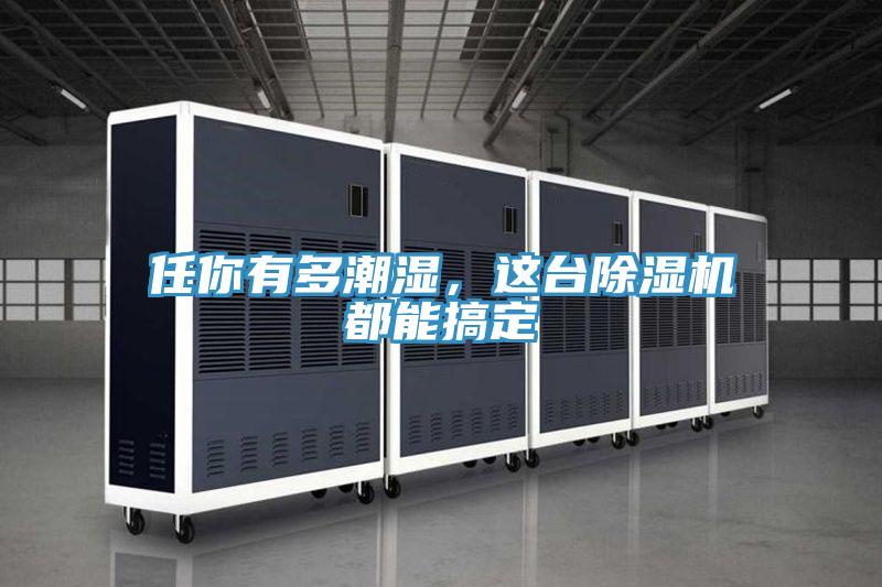 任你有多潮濕，這臺除濕機都能搞定