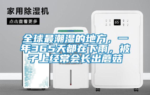 全球最潮濕的地方，一年365天都在下雨，被子上經(jīng)常會(huì)長(zhǎng)出蘑菇