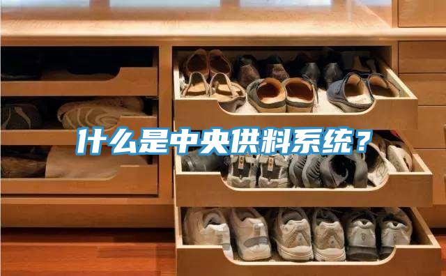 什么是中央供料系統？