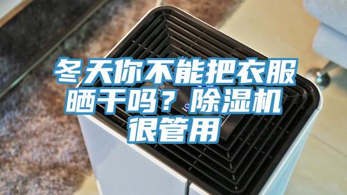 冬天你不能把衣服曬干嗎？除濕機很管用