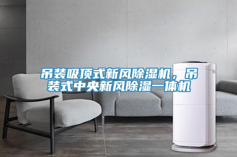 吊裝吸頂式新風(fēng)除濕機，吊裝式中央新風(fēng)除濕一體機