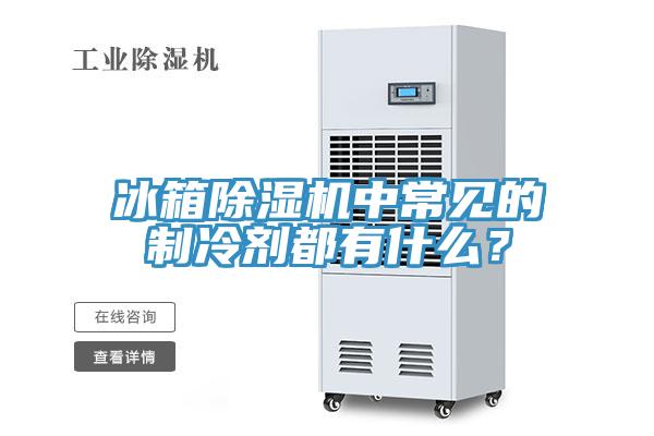 冰箱除濕機中常見的制冷劑都有什么？