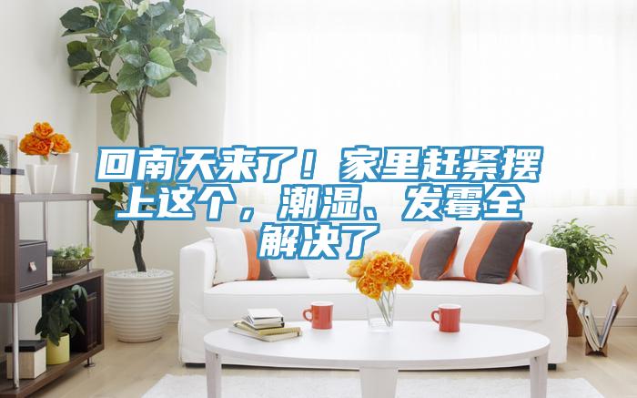 回南天來了！家里趕緊擺上這個，潮濕、發(fā)霉全解決了