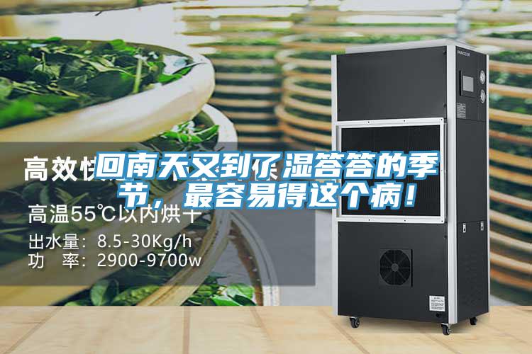 回南天又到了濕答答的季節(jié)，最容易得這個(gè)??！