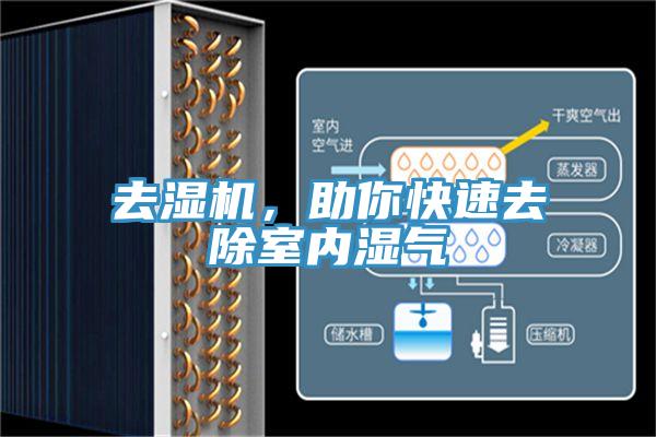 去濕機(jī),助你快速去除室內(nèi)濕氣