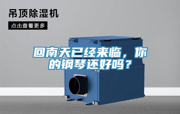 回南天已經來臨，你的鋼琴還好嗎？