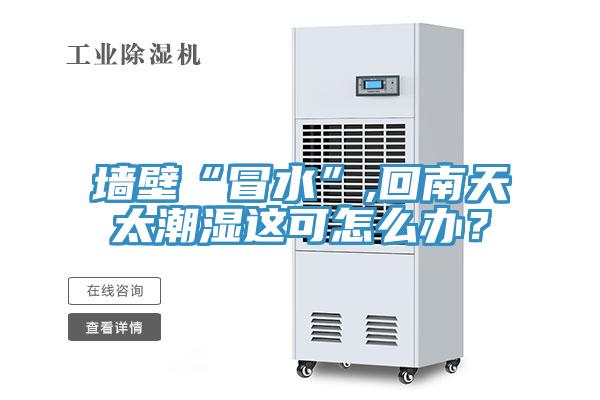 墻壁“冒水”,回南天太潮濕這可怎么辦?