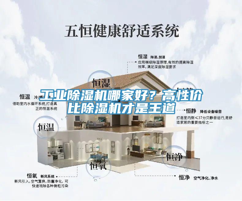工業(yè)除濕機哪家好?高性價比除濕機才是王道