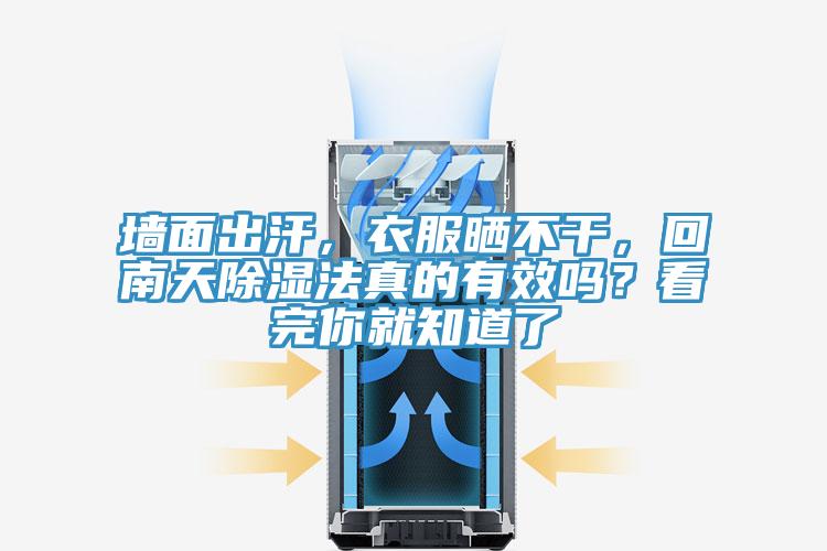 墻面出汗，衣服曬不干，回南天除濕法真的有效嗎？看完你就知道了