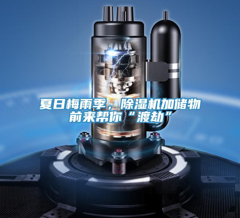 夏日梅雨季，除濕機加儲物前來幫你“渡劫”