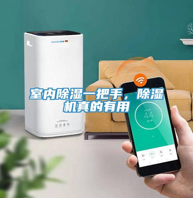 室內(nèi)除濕一把手,除濕機真的有用