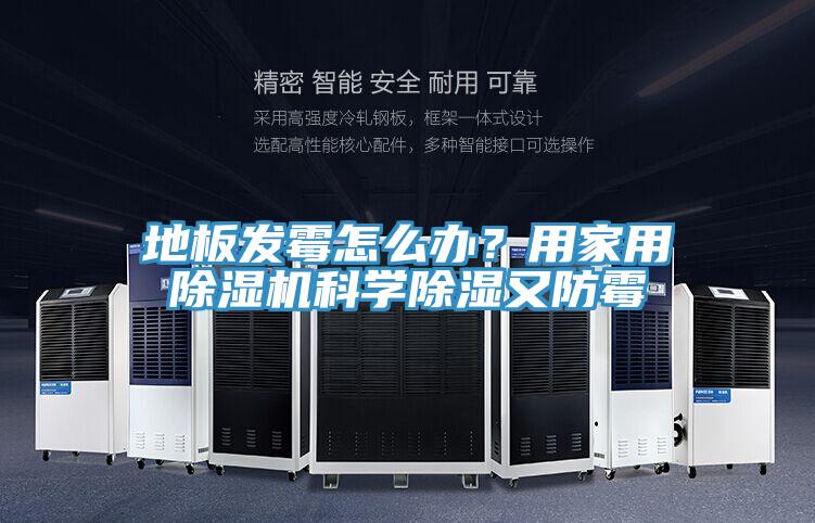 地板發(fā)霉怎么辦?用家用除濕機科學除濕又防霉