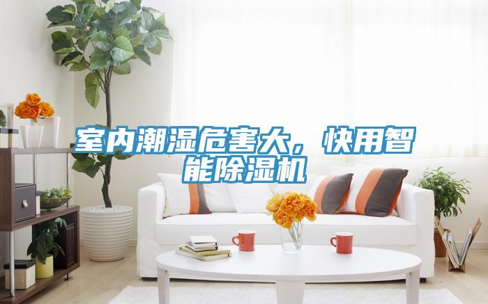 室內潮濕危害大，快用智能除濕機