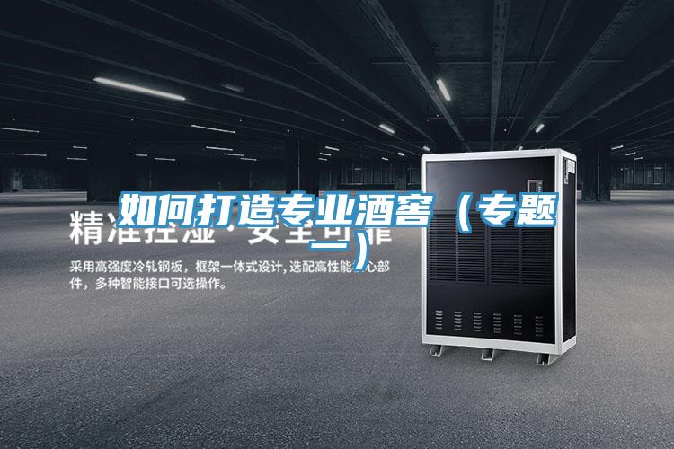 如何打造專業(yè)酒窖(專題一)