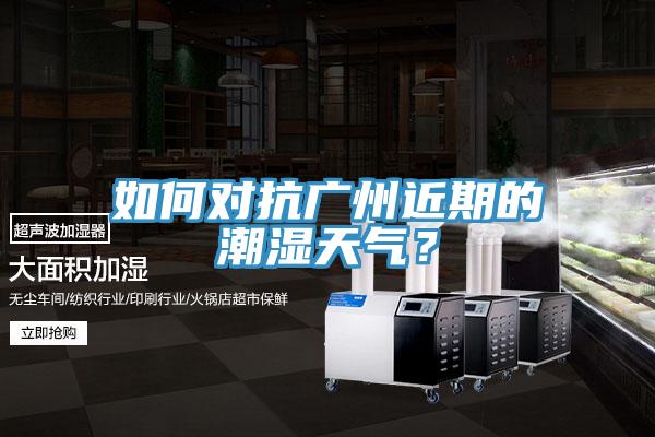 如何對抗廣州近期的潮濕天氣?