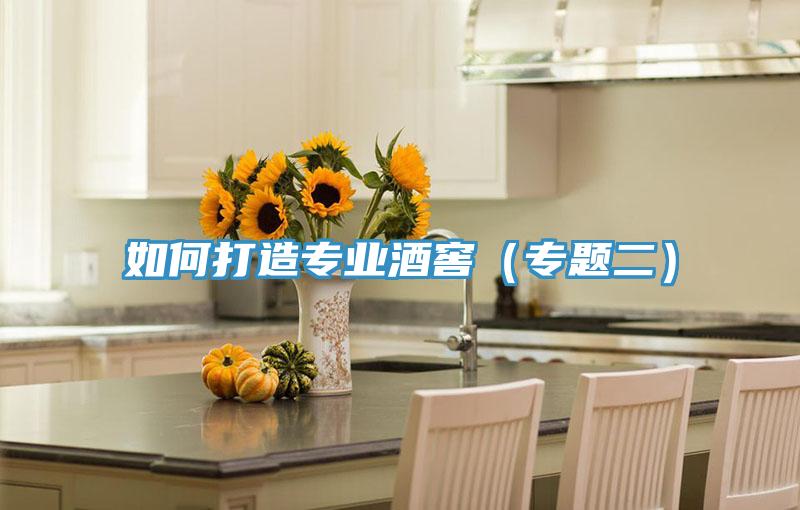 如何打造專業(yè)酒窖(專題二)