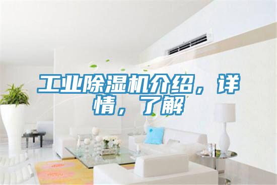 工業除濕機介紹,詳情,了解