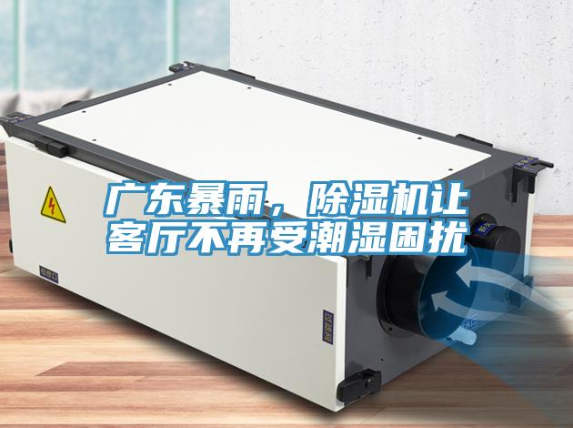 廣東暴雨，除濕機讓客廳不再受潮濕困擾