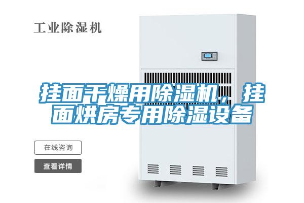 掛面干燥用除濕機,掛面烘房專用除濕設備