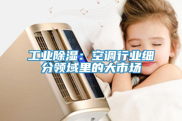 工業(yè)除濕:空調(diào)行業(yè)細(xì)分領(lǐng)域里的大市場