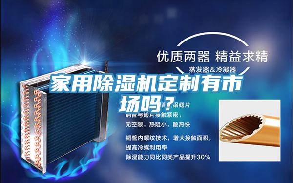 家用除濕機定制有市場嗎？