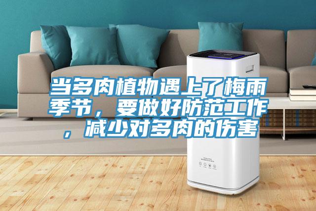 當(dāng)多肉植物遇上了梅雨季節(jié),要做好防范工作,減少對(duì)多肉的傷害