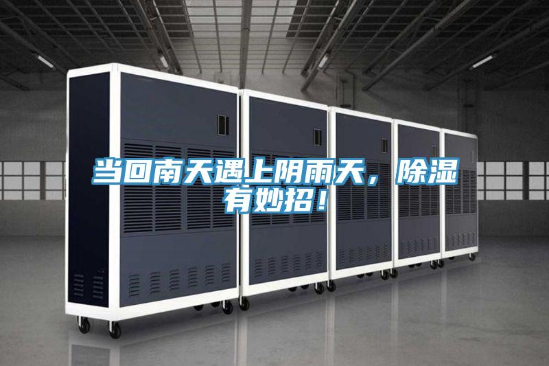 當回南天遇上陰雨天,除濕有妙招!