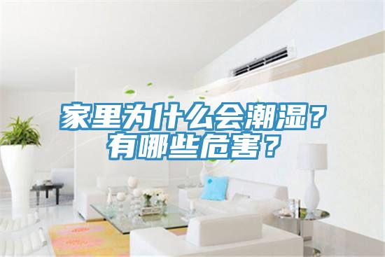 家里為什么會(huì)潮濕?有哪些危害?