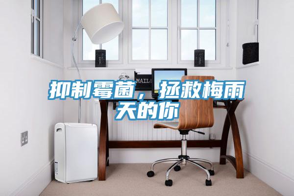 抑制霉菌，拯救梅雨天的你