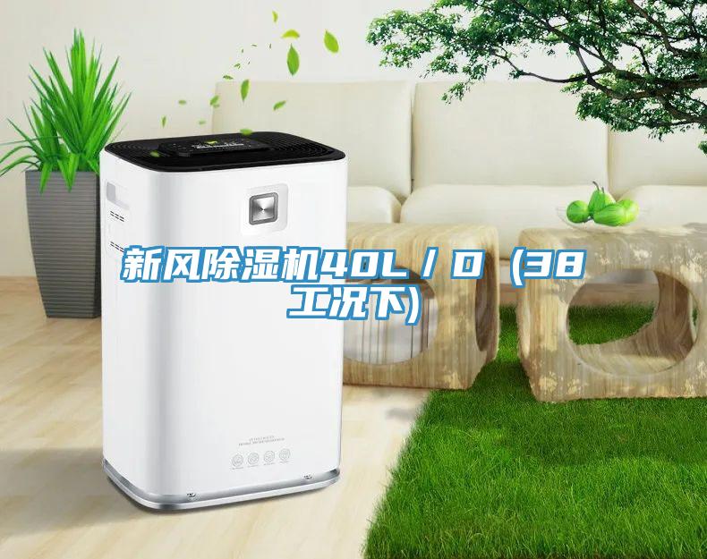 新風除濕機40L/D (38工況下)