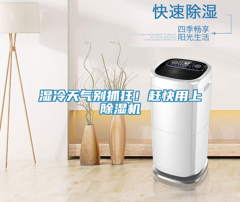 濕冷天氣別抓狂!趕快用上除濕機