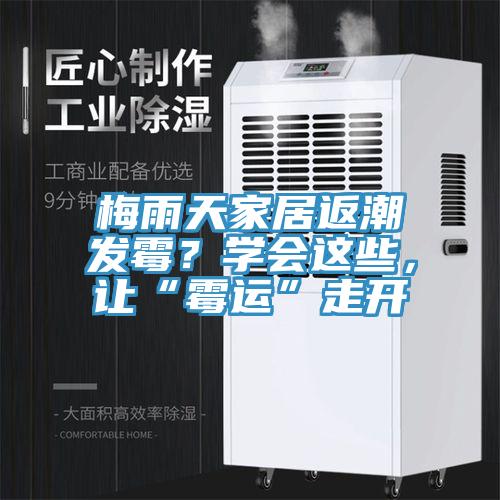 梅雨天家居返潮發霉？學會這些，讓“霉運”走開