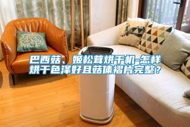 巴西菇、姬松茸烘干機-怎樣烘干色澤好且菇體褶片完整？