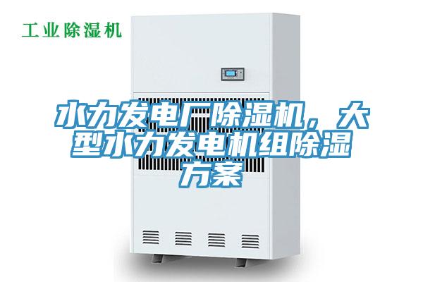 水力發電廠除濕機,大型水力發電機組除濕方案