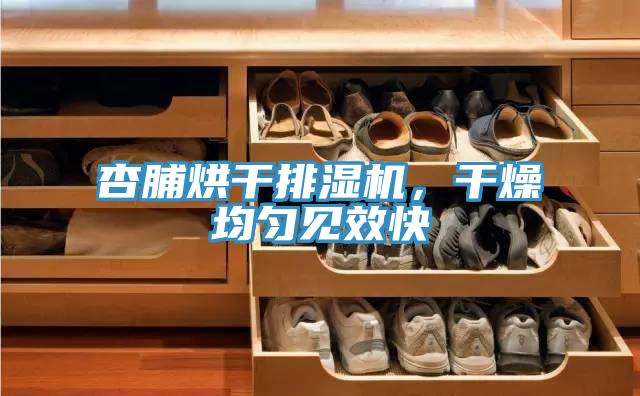 杏脯烘干排濕機,干燥均勻見效快