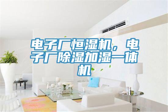 電子廠恒濕機，電子廠除濕加濕一體機
