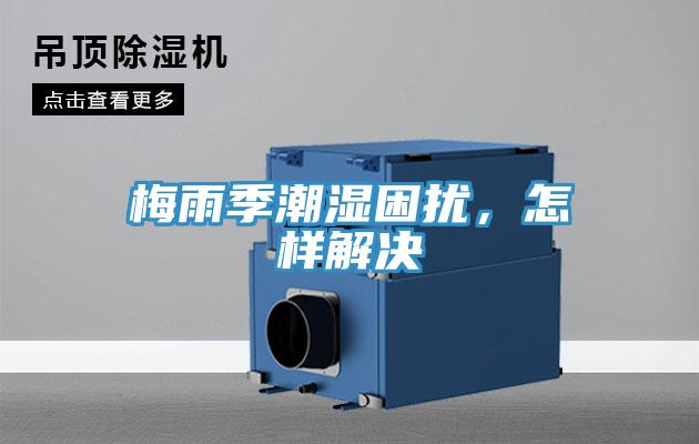 梅雨季潮濕困擾,怎樣解決