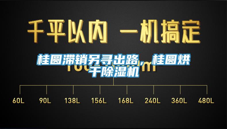 桂圓滯銷另尋出路，桂圓烘干除濕機