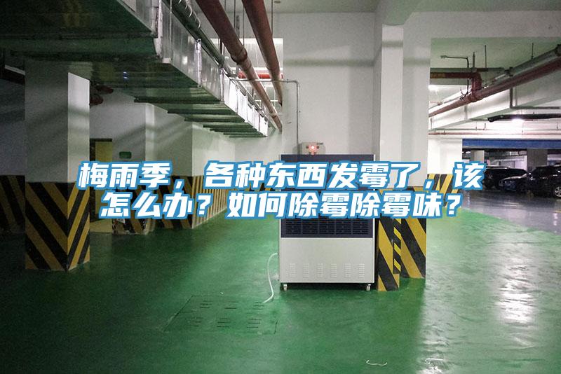梅雨季，各種東西發霉了，該怎么辦？如何除霉除霉味？