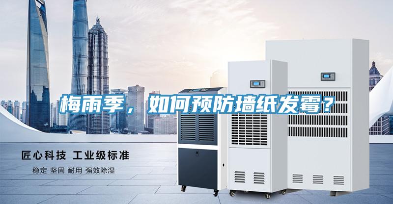 梅雨季,如何預(yù)防墻紙發(fā)霉?