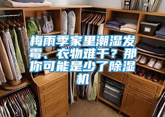 梅雨季家里潮濕發(fā)霉、衣物難干？那你可能是少了除濕機(jī)