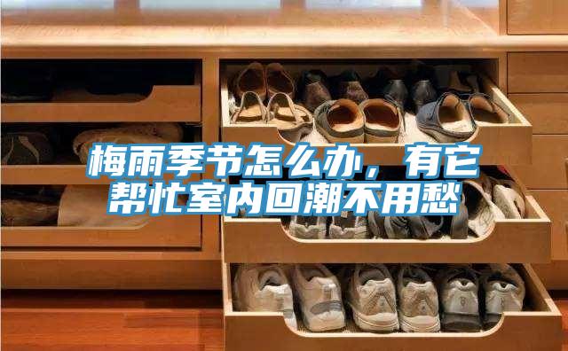 梅雨季節怎么辦，有它幫忙室內回潮不用愁