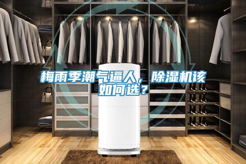 梅雨季潮氣逼人,除濕機該如何選?