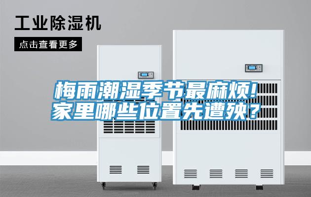 梅雨潮濕季節(jié)最麻煩!家里哪些位置先遭殃？