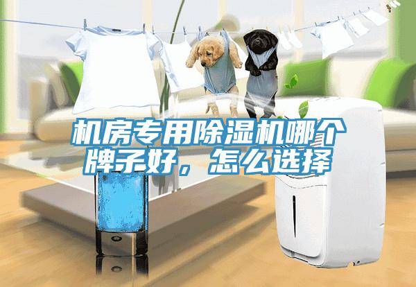 機房專用除濕機哪個牌子好,怎么選擇
