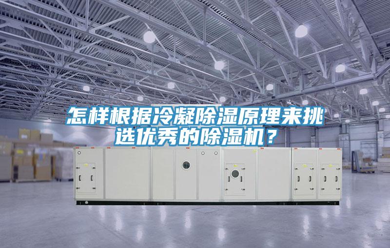 怎樣根據冷凝除濕原理來挑選優(yōu)秀的除濕機？