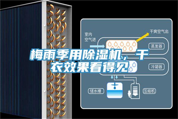 梅雨季用除濕機(jī)，干衣效果看得見