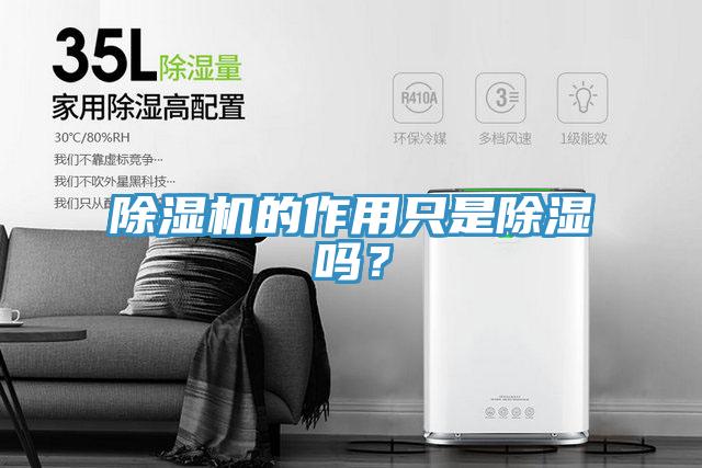 除濕機的作用只是除濕嗎?