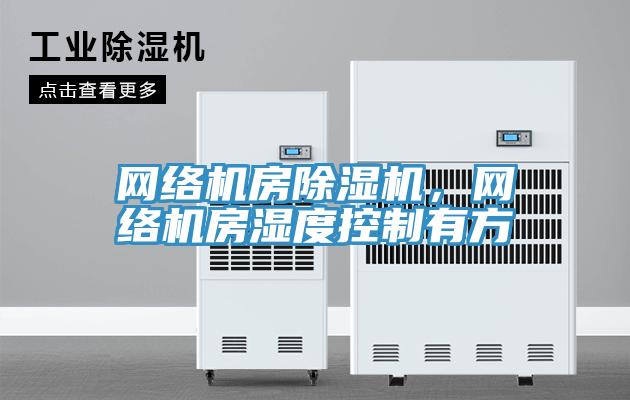 網(wǎng)絡(luò)機(jī)房除濕機(jī),網(wǎng)絡(luò)機(jī)房濕度控制有方